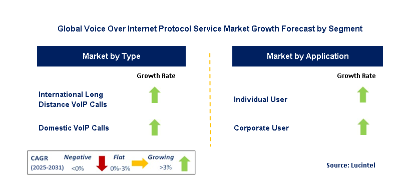 Voice Over Internet Protocol Service Market by Segment
